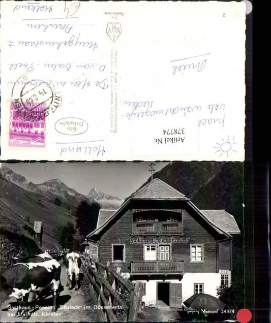 378774,Gasthaus Pension Säuleck im Dössenertal b. Mallnitz Rinder Bergkulisse
