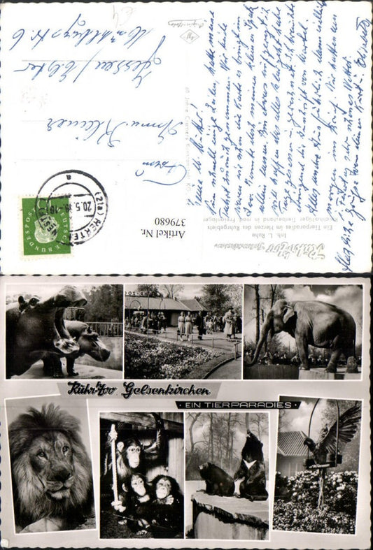 379680,Gelsenkirchen Ruhr-Zoo Tierparadies Elefant Nilpferd Löwe Affen Mehrbildkarte
