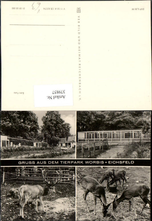 379857,Leinefelde-Worbis Gruß aus dem Tierpark Hirsch Rehe Mehrbildkarte pub VEB