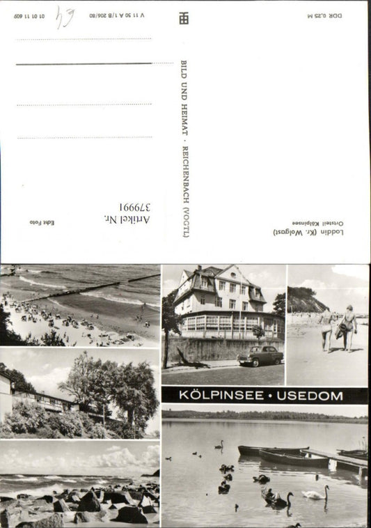 379991,Loddin Kölpinsee auf Usedom Küste Strand Schwäne Mehrbildkarte