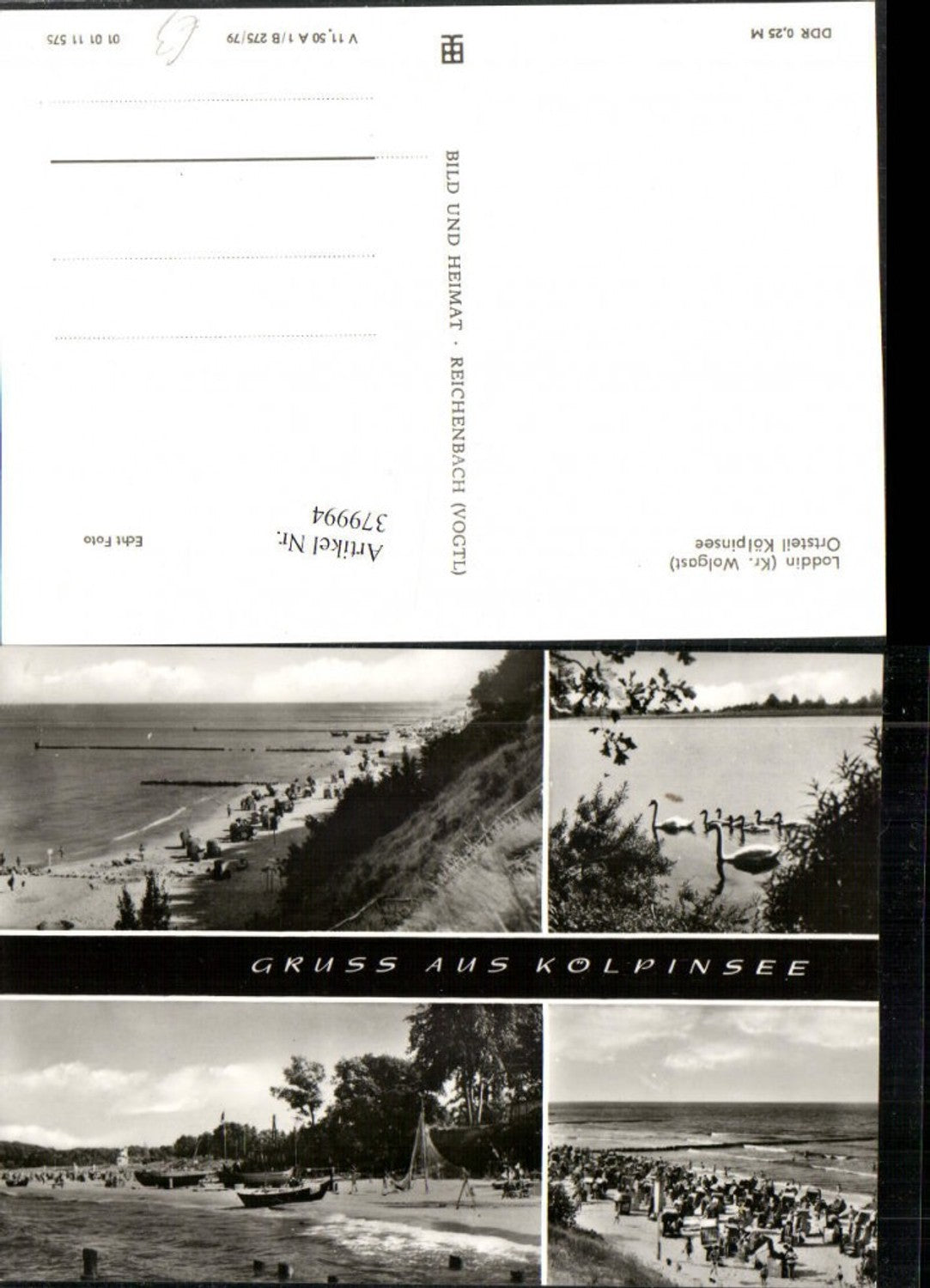 379994,Loddin Kölpinsee auf Usedom Strand Strandleben Schwäne Mehrbildkarte