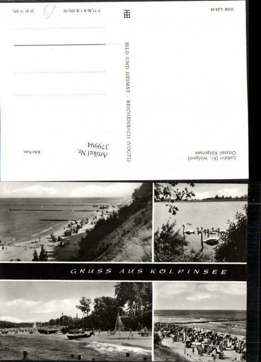 379994,Loddin Kölpinsee auf Usedom Strand Strandleben Schwäne Mehrbildkarte