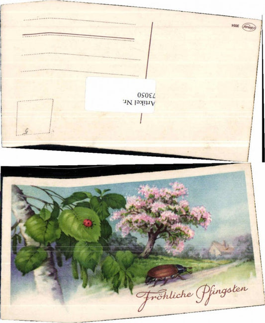 73050,Pfingsten Marienkäfer Maikäfer Baum Frühling