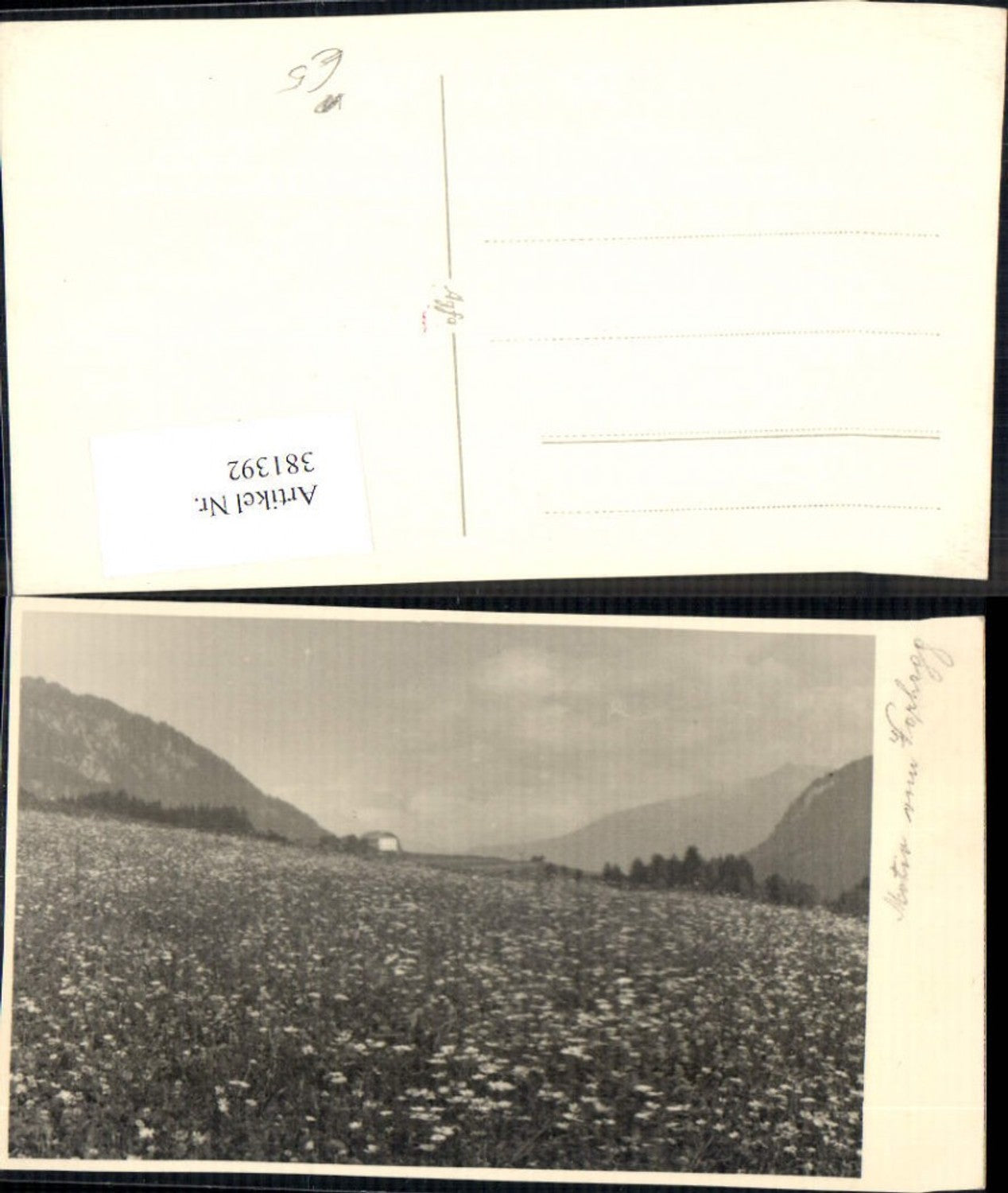 381392,Fotokunst Blumenwiese Landschaft Blumen