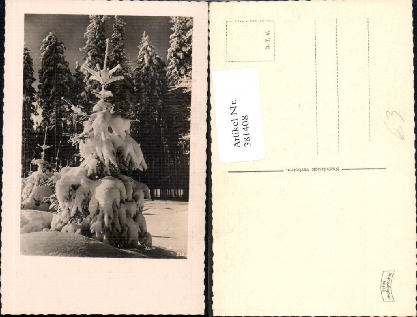 381408,Fotokunst Tannenbaum Winterwald Landschaft