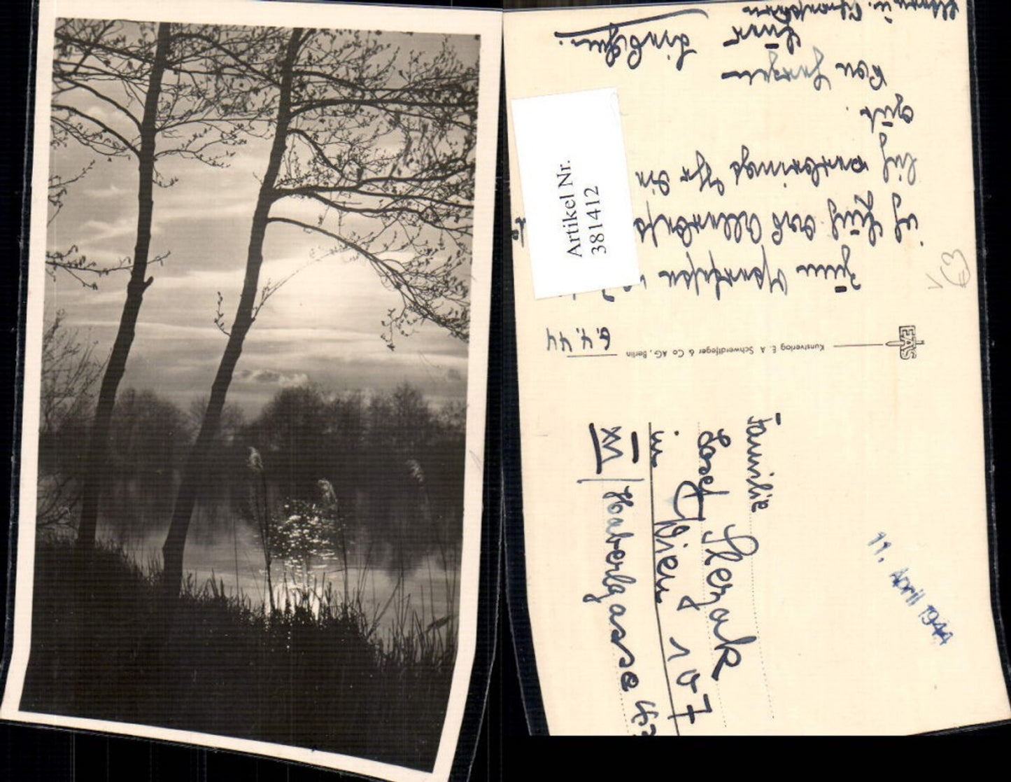 381412,Fotokunst Schilf Bäume a. Ufer Fluss See Landschaft Lichtstimmung pub EAS