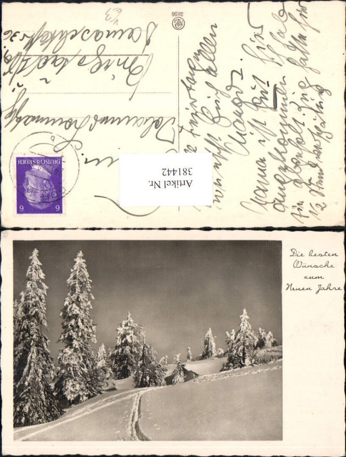 381442,Fotokunst Bäume Winterlandschaft pub NPG 3856