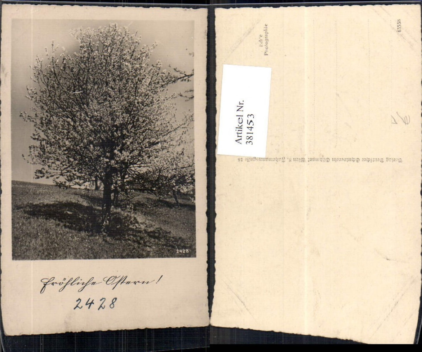 381453,Fotokunst Blühender Baum Wiese Landschaft pub Schulverein Südmark 2428