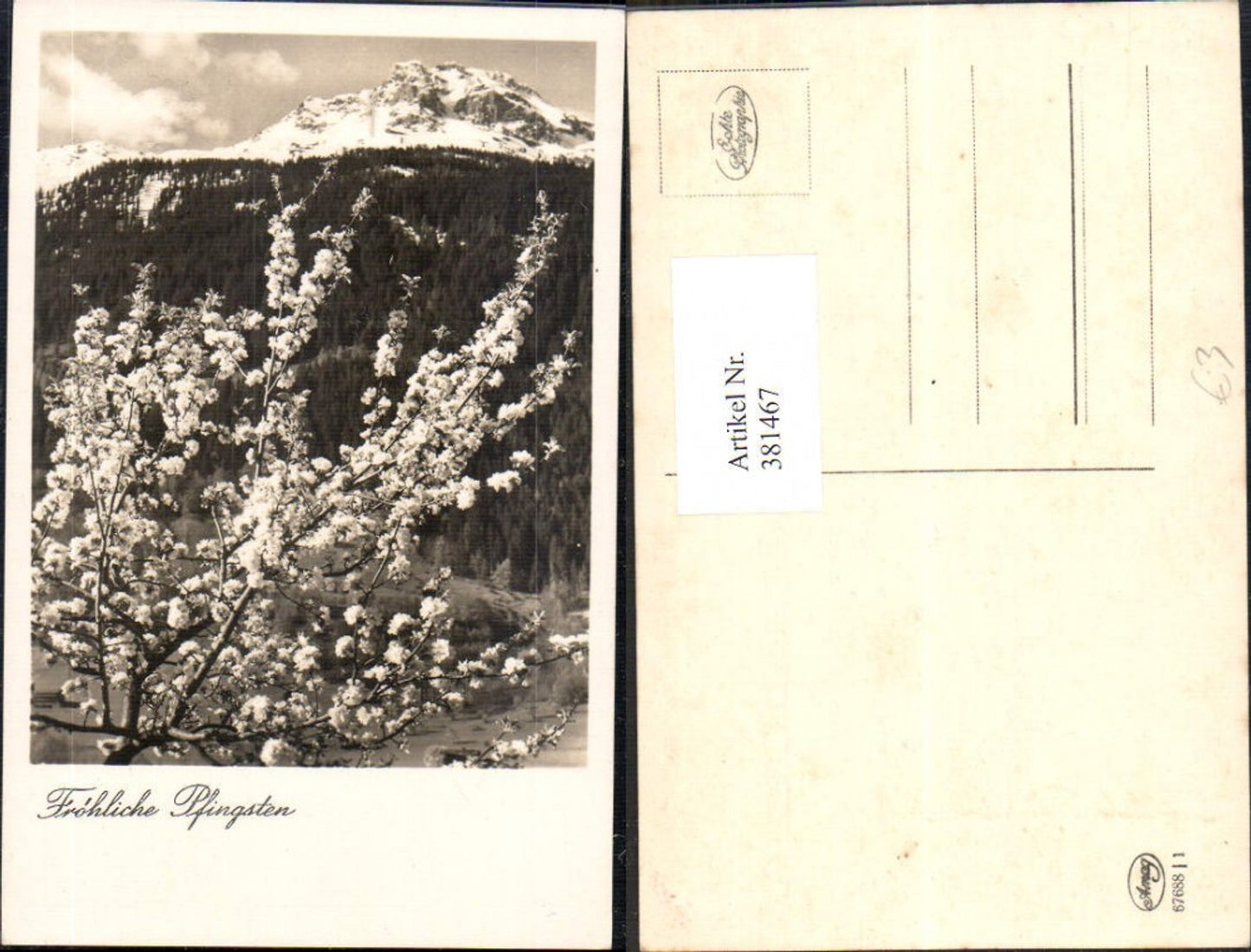 381467,Fotokunst Blühender Strauch Zweig Bergkulisse
