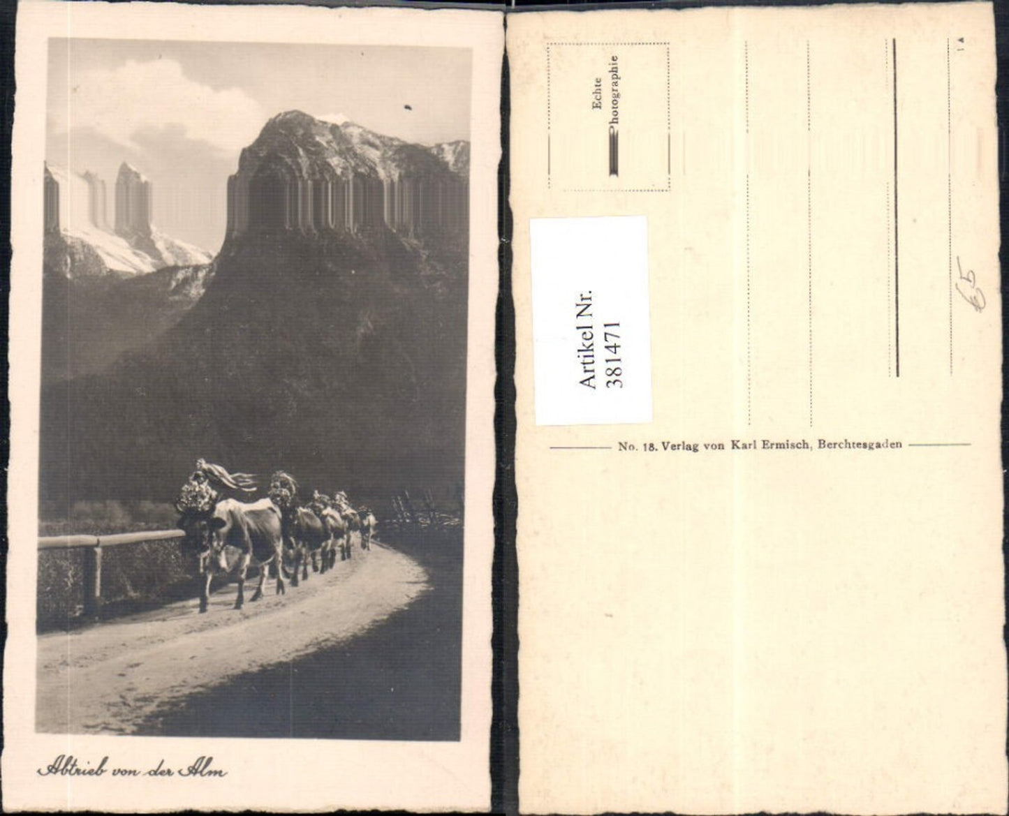 381471,Fotokunst Abtrieb v. d. Alm Kühe Rinder Bergkulisse