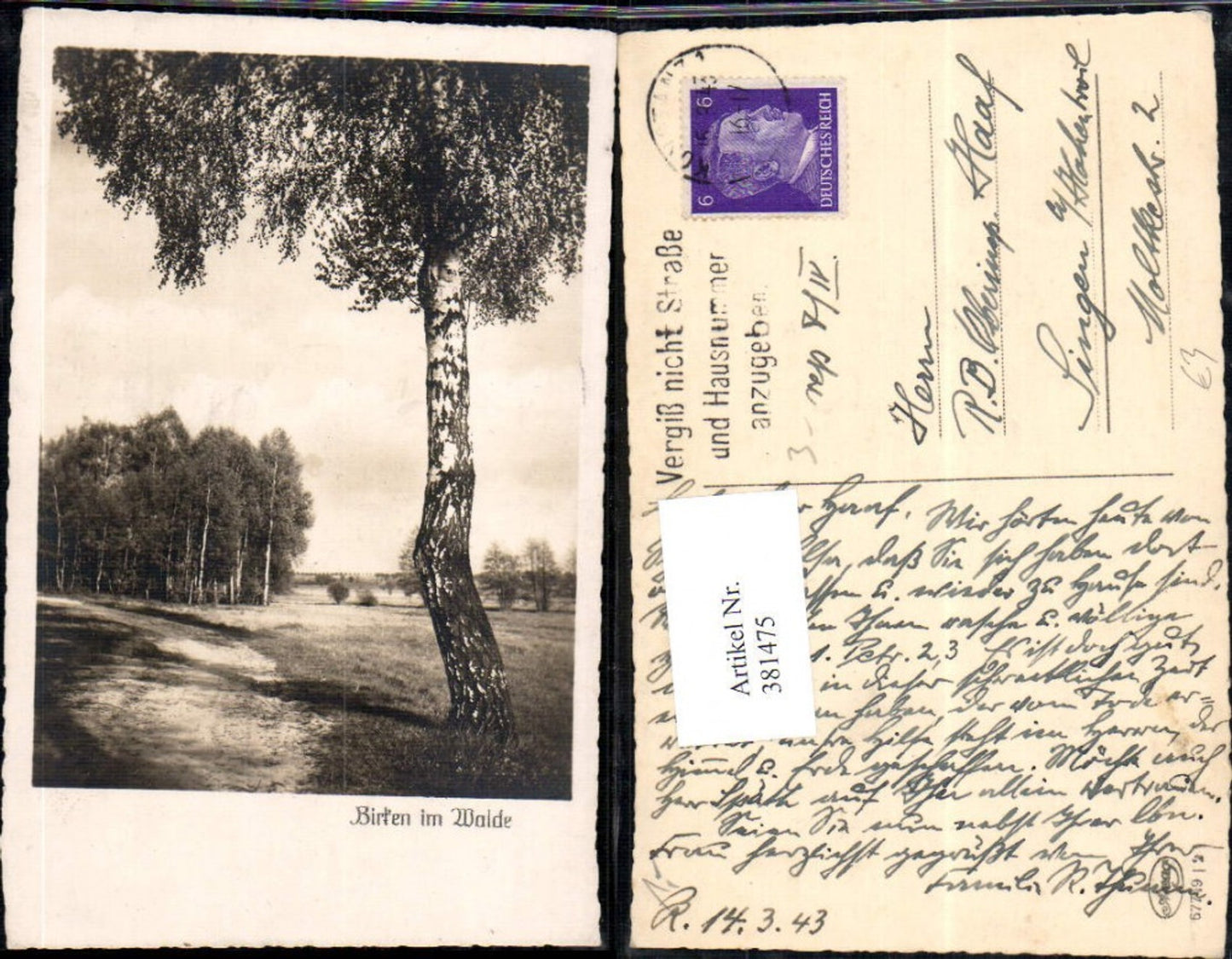 381475,Fotokunst Baum Birken i. Walde Weg Landschaft
