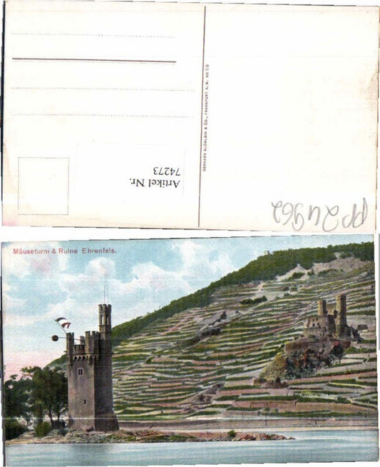 74273,Mäuseturm Ruine Ehrenfels am Rhein 1910