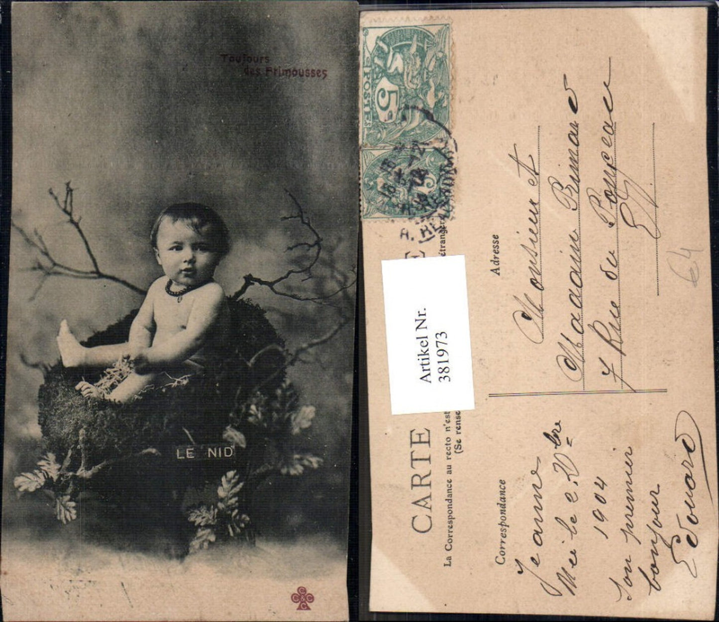 381973, Child naked in bird's nest