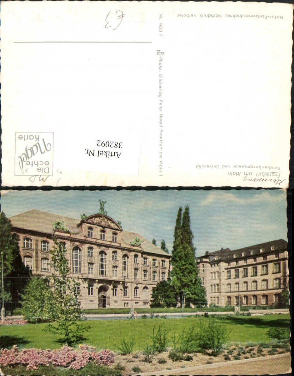 382092,Frankfurt am Main Senckenbergmuseum Museum u. Universität