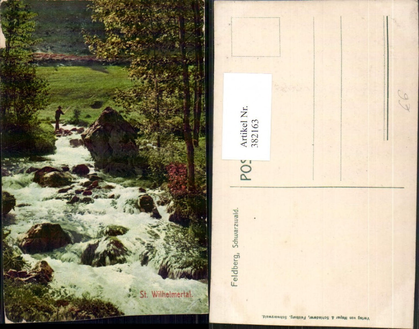 382163,Feldberg im Schwarzwald St. Wilhelmertal Wildbach