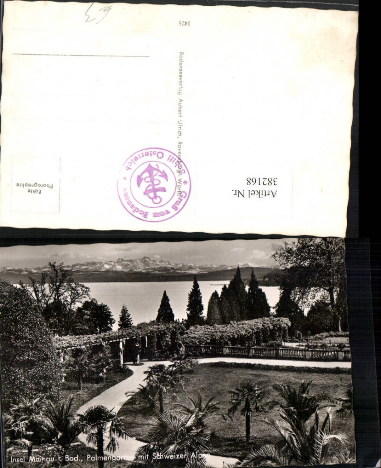382168,Insel Mainau im Bodensee b. Konstanz Palmengarten m. Schweizer Alpen