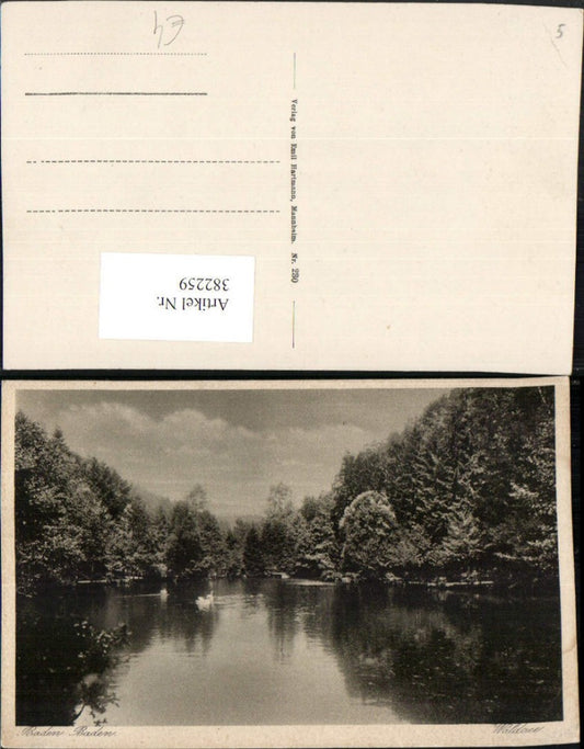 382259, Baden-Baden Waldsee Lake