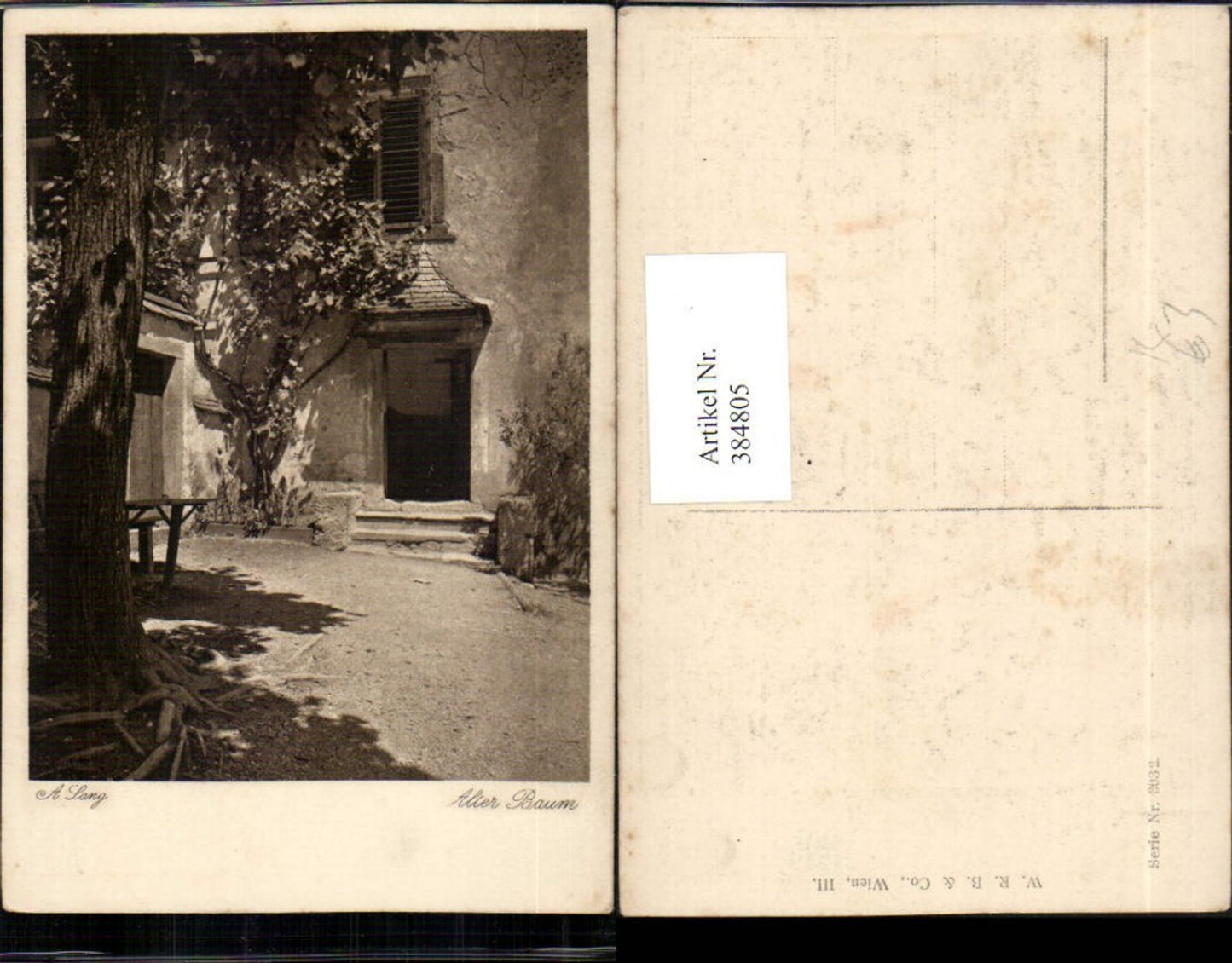 384805,Künstler AK A. Lang Alter Baum Haus Motiv
