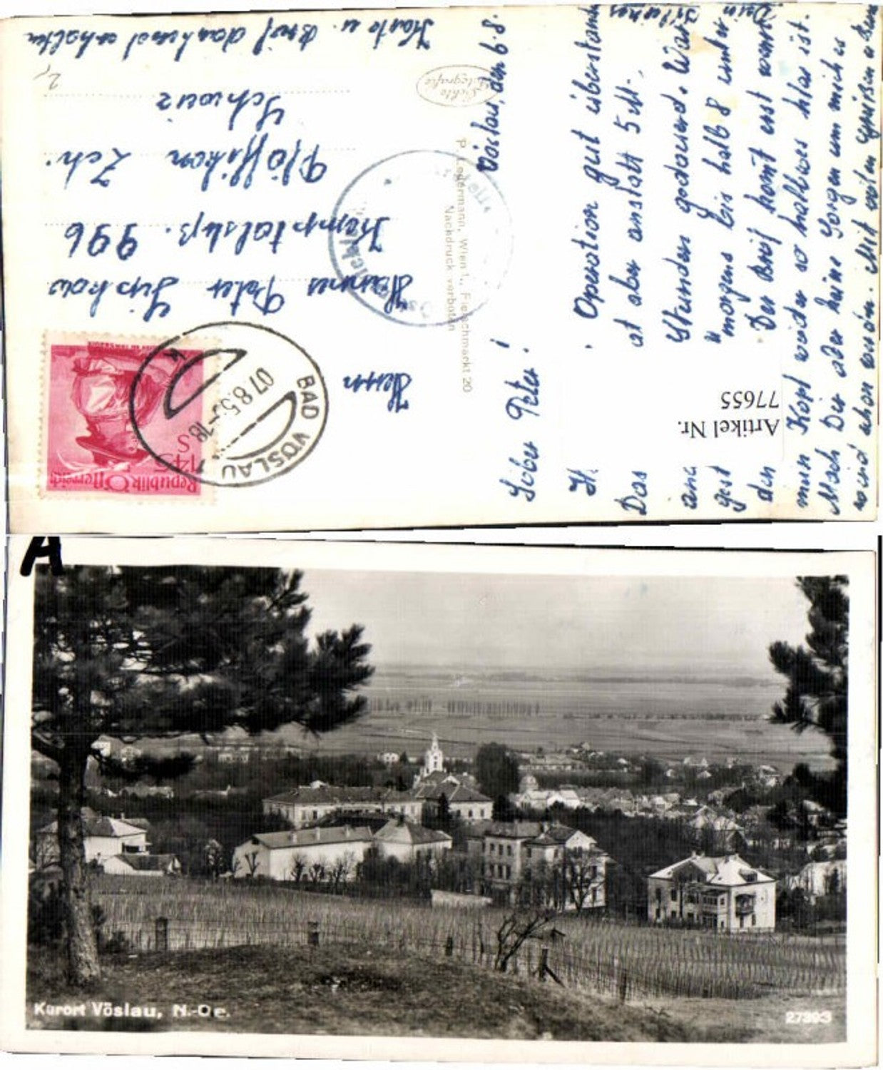 77655,Vöslau Partie zum Ort Ledermann 27393