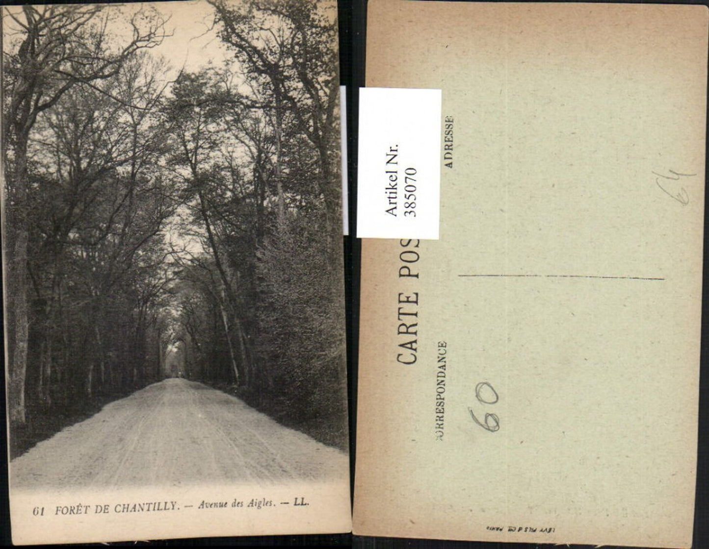 385070,Picardie Oise Foret de Chantilly Avenue des Aigles Wald Straße