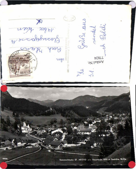 77824,Sommerfrische St Aegyd am Neuwalde Ledermann 43124