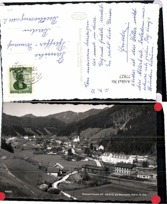 77827,Sommerfrische St Aegyd am Neuwalde Ledermann 44856