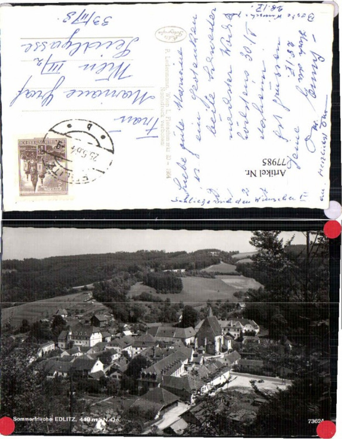 77985,Edlitz pub Ledermann 73624