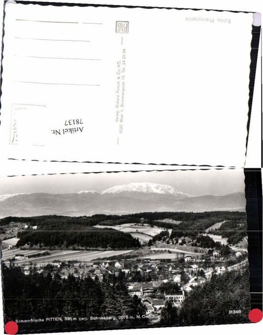 78137,Sommerfrische Pitten Totale Ledermann 31346