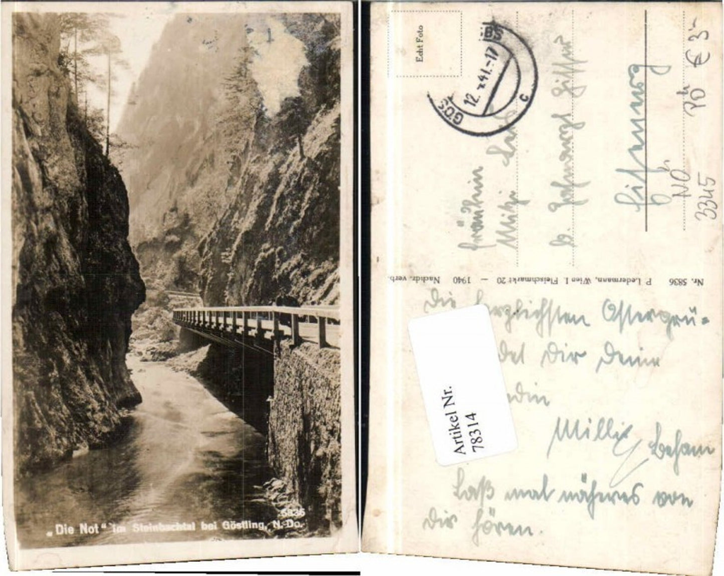 78314,Die Not bei Göstling a.d. Ybbs Ledermann 5836
