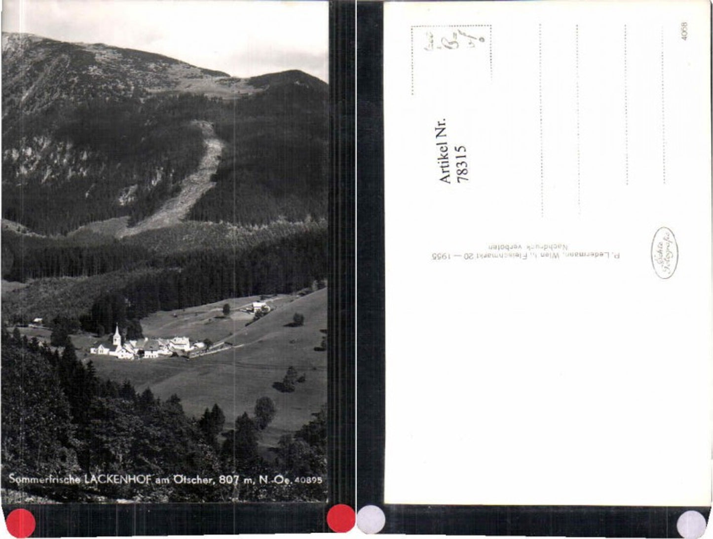 78315,Sommerfrische Lackenhof am Ötscher Ledermann 40895