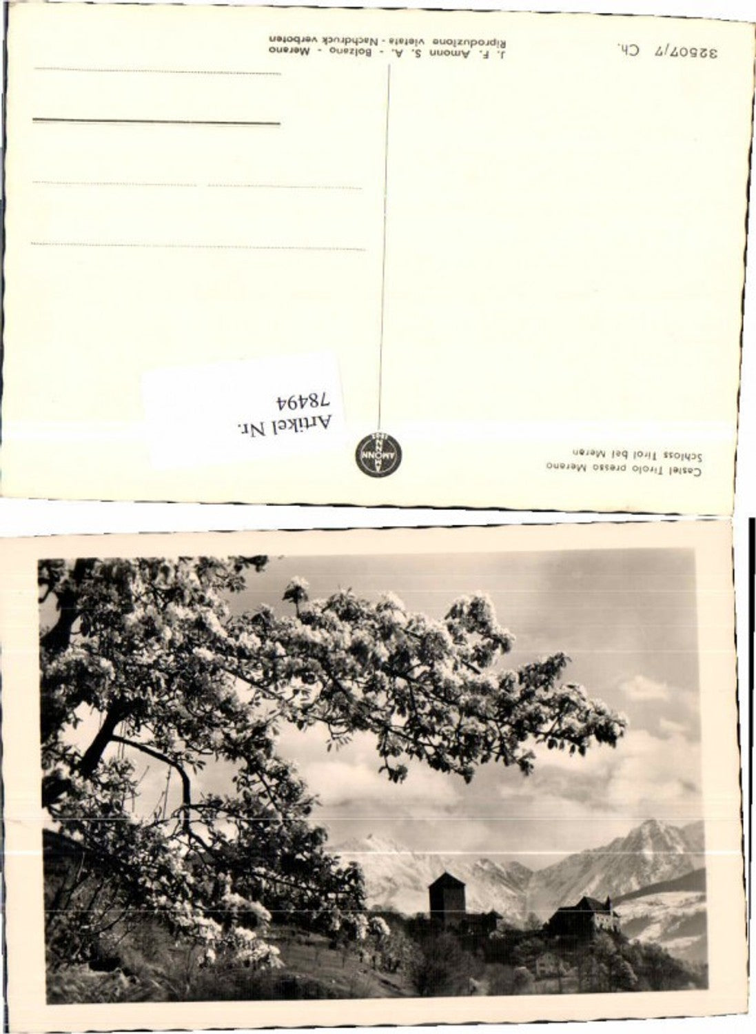 Alte Ansichtskarte – Old Postcard