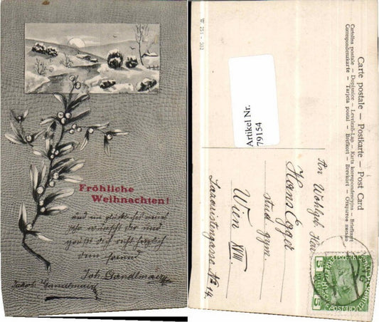 79154, Christmas branches winter landscape 1900