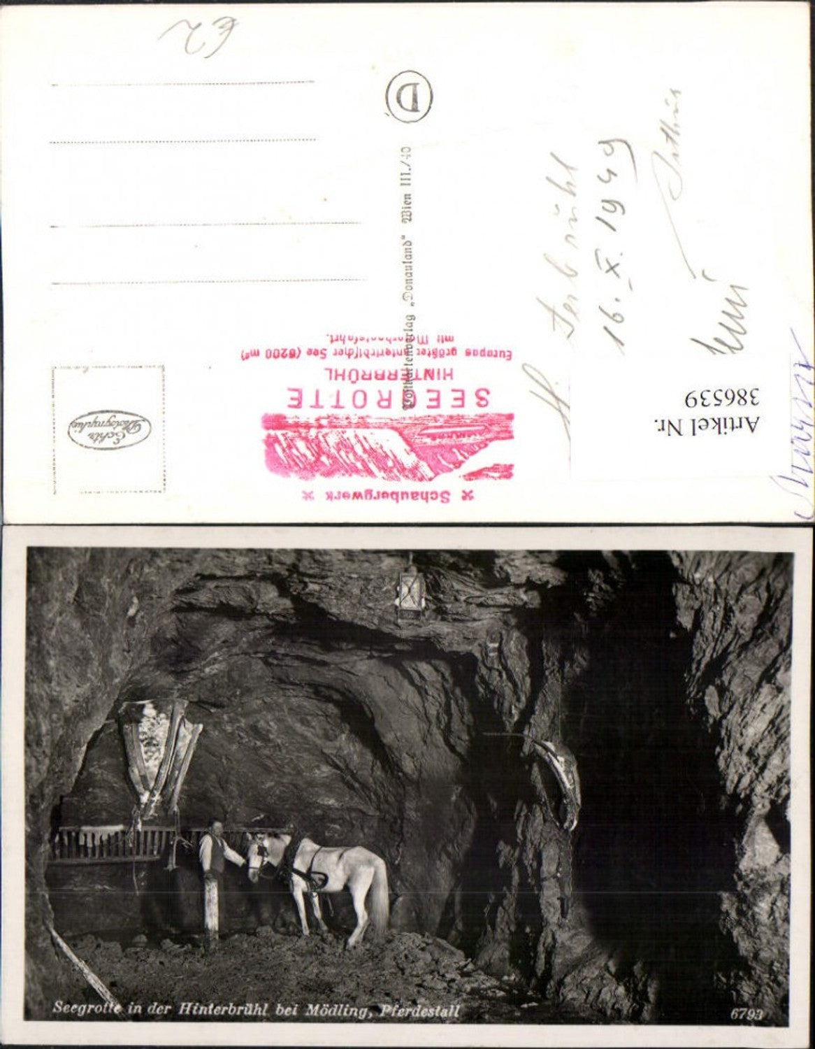 386539,Hinterbrühl b. Mödling Seegrotte Pferdestall Pferd