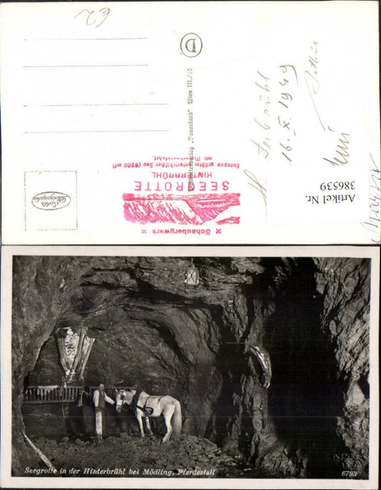 386539,Hinterbrühl b. Mödling Seegrotte Pferdestall Pferd