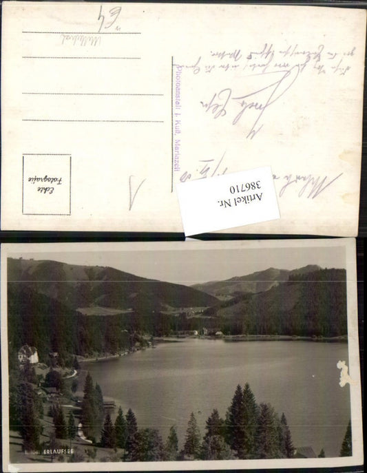 386710,Foto AK Erlaufsee See b. Mitterbach