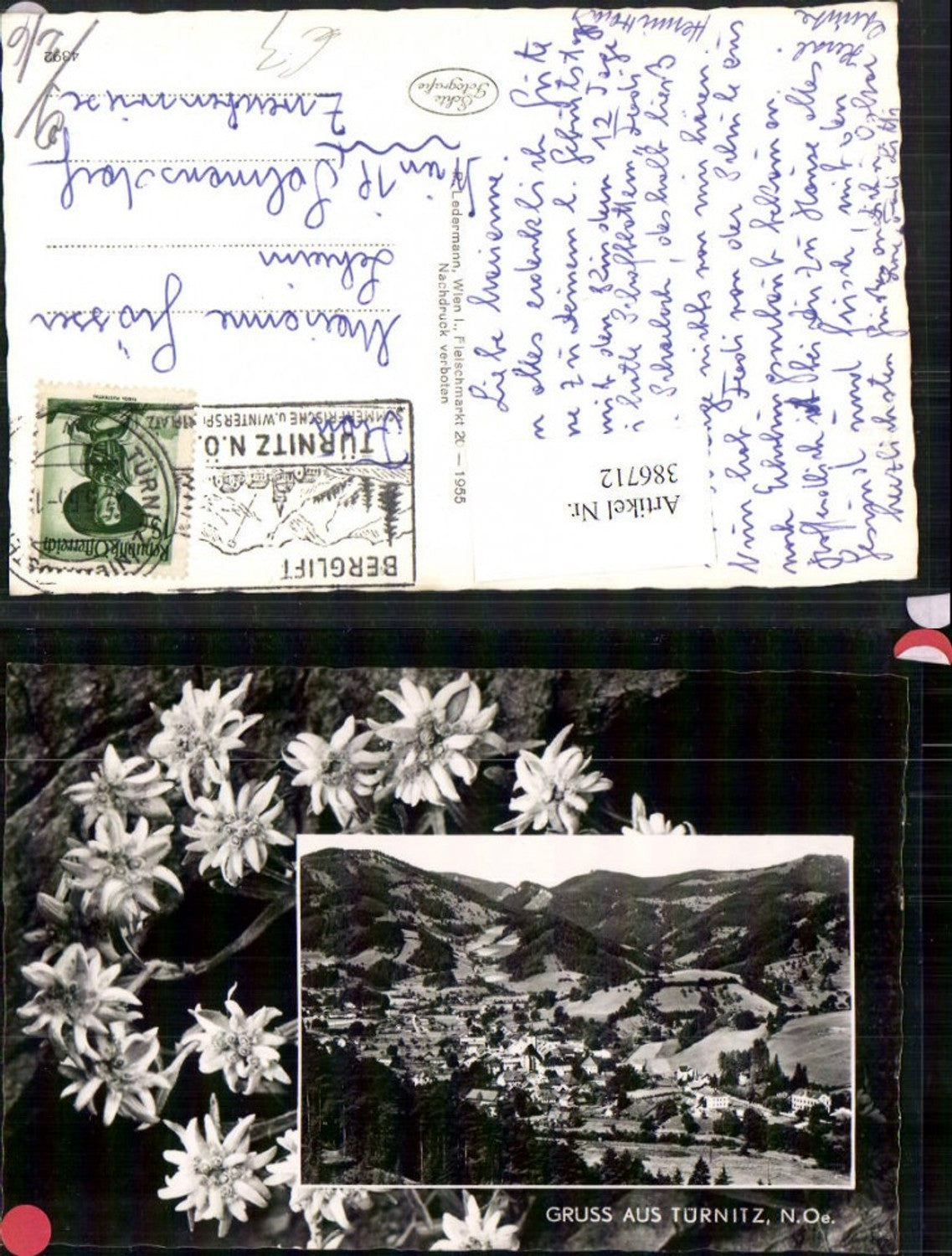 386712,Gruß aus Türnitz Totale Passepartout Edelweiß Blumen