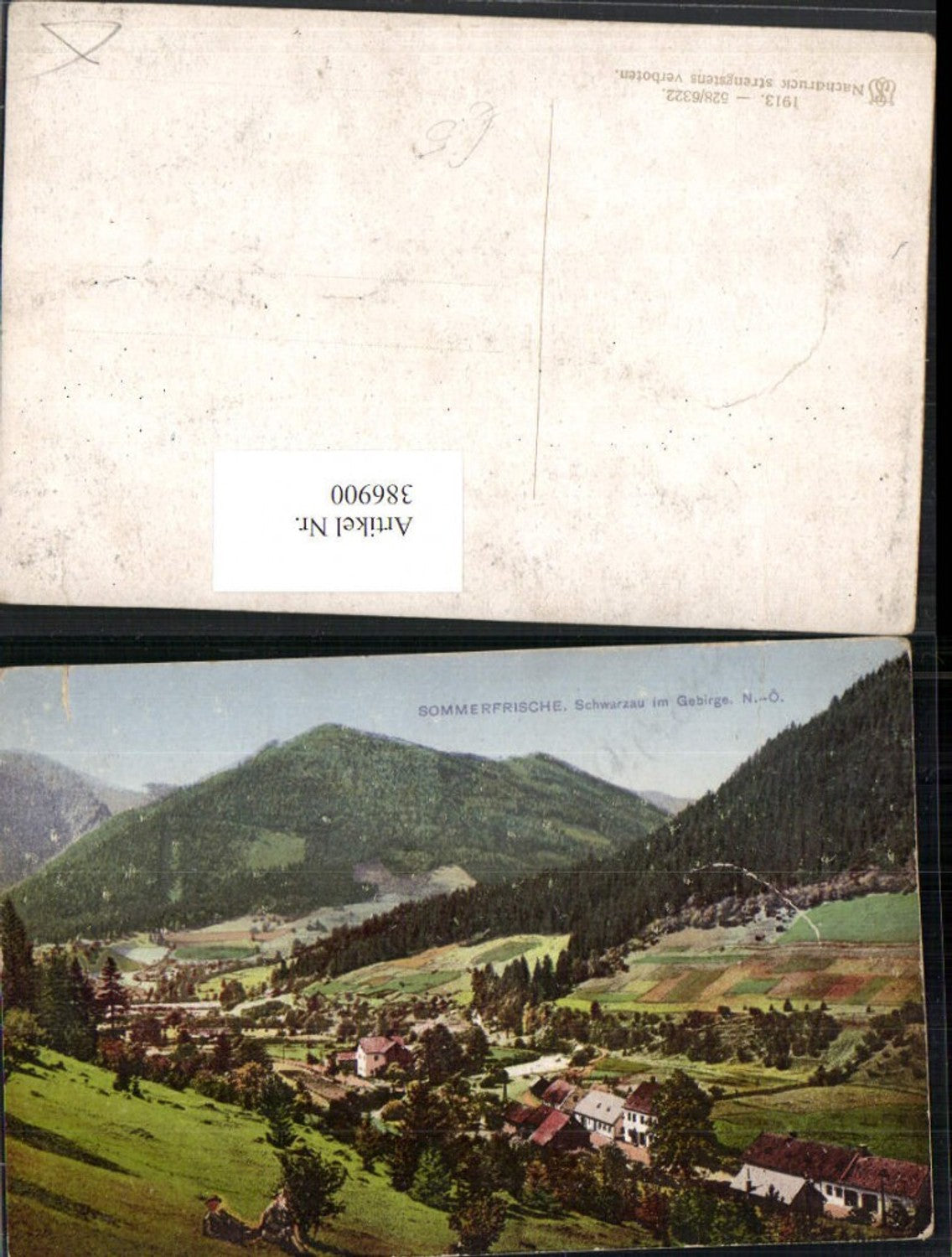 386900,Schwarzau im Gebirge Teilansicht
