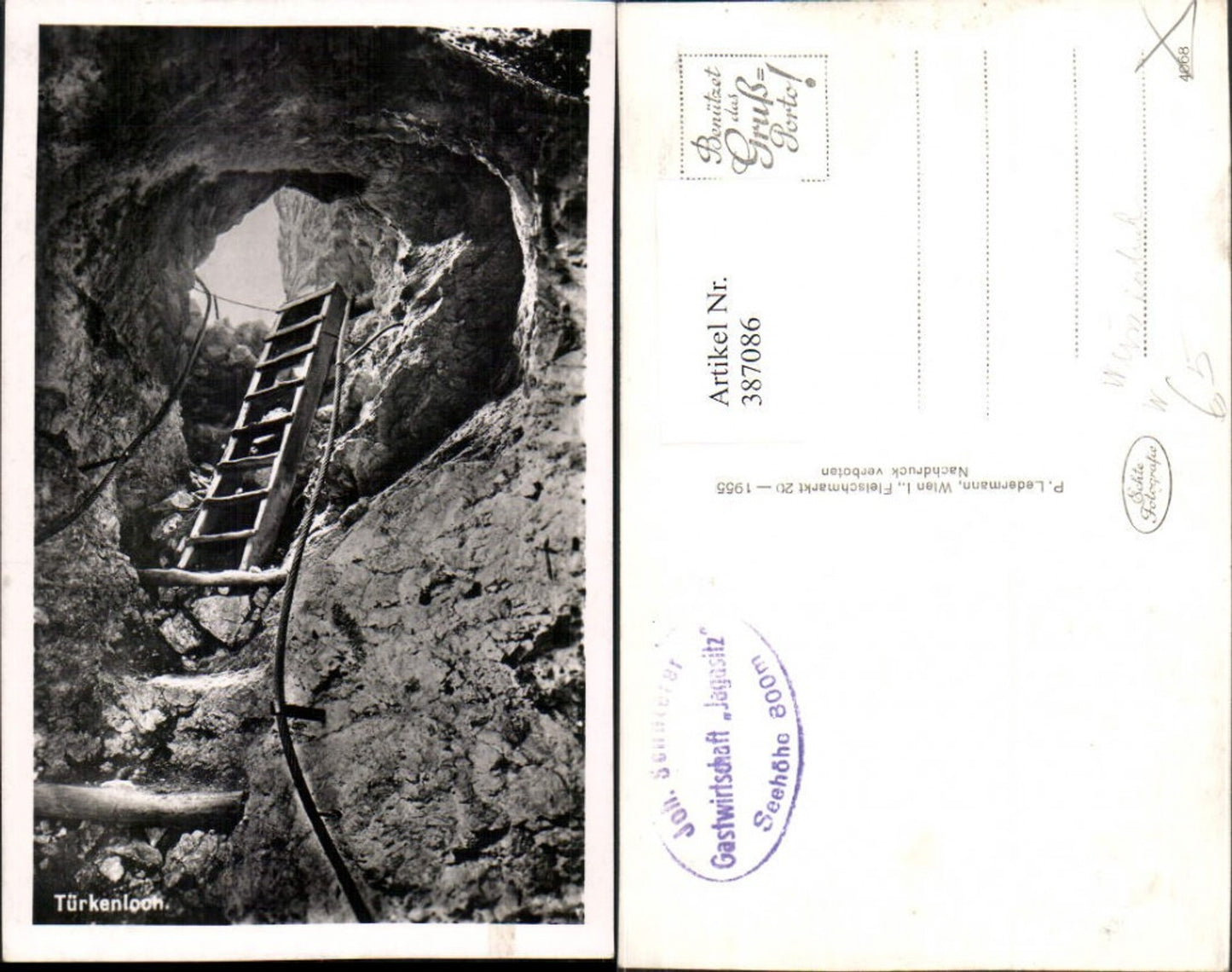 387086,Türkenloch b. Weissenbach Furth an d. Triesting Leiter