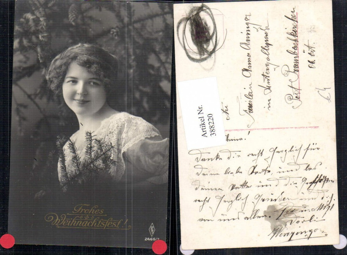 388220,Frau Tannenzweig Weihnachten Portrait