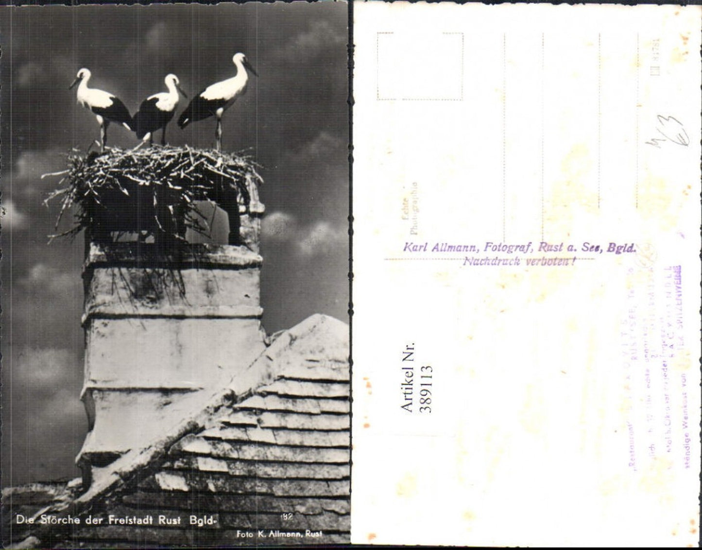Alte Ansichtskarte – Old Postcard