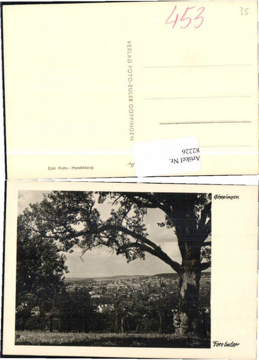 82226, Göppingen, Waldrand area, Photo Euler
