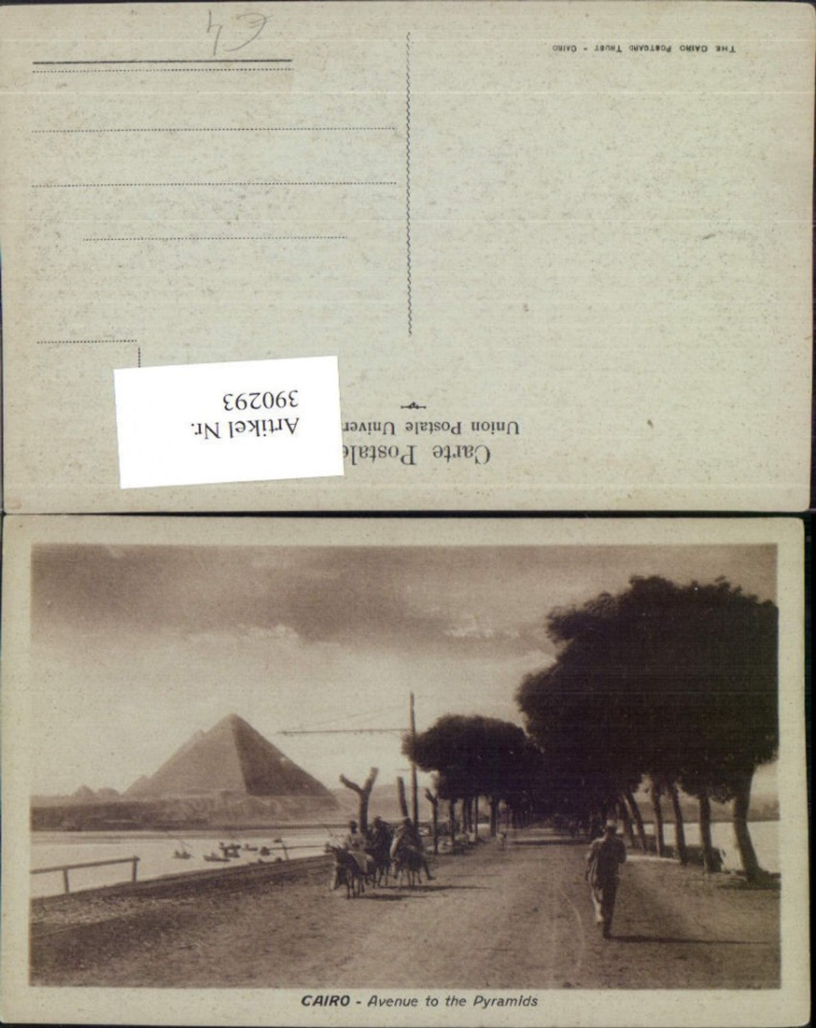 390293,Egypt Cairo Kairo Avenue to the Pyramids Straße Pyramiden