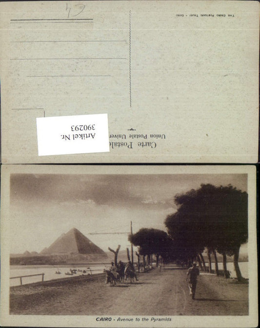 390293,Egypt Cairo Kairo Avenue to the Pyramids Straße Pyramiden