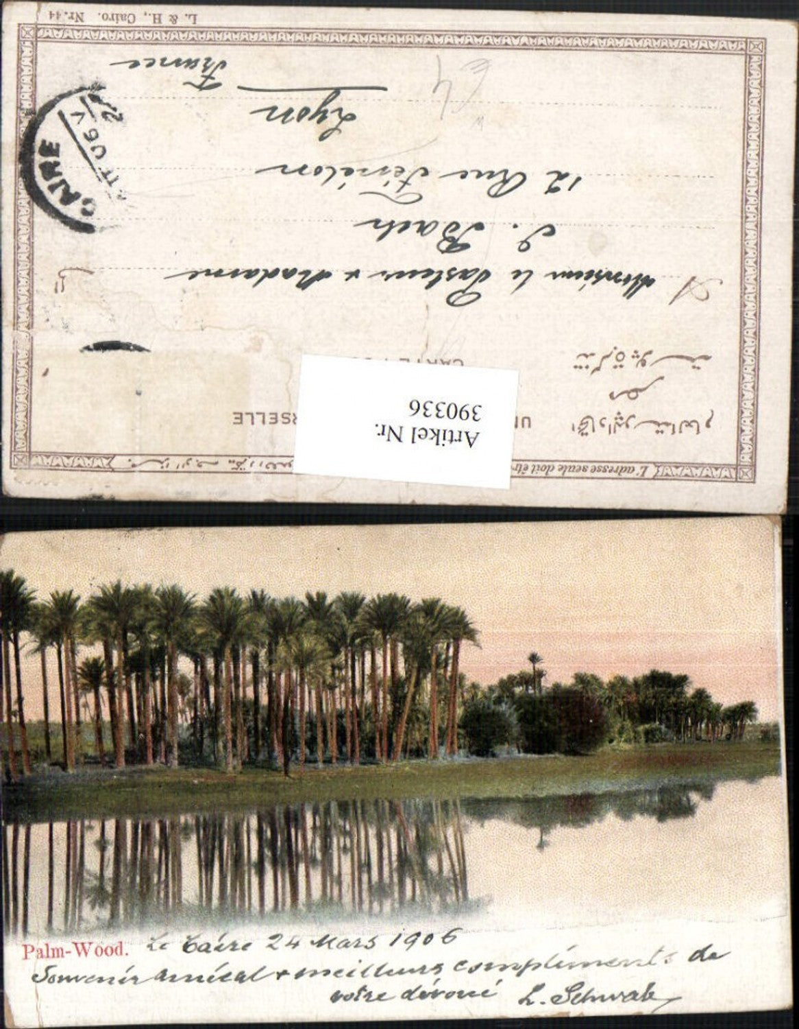 390336,Egypt Caire Cairo Kairo Palm Wood Palmen