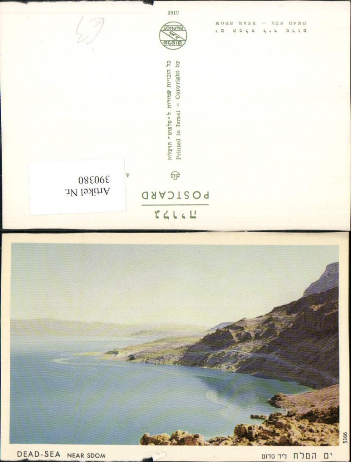 390380,Israel Deas Sea near Sdom Totes Meer Küste