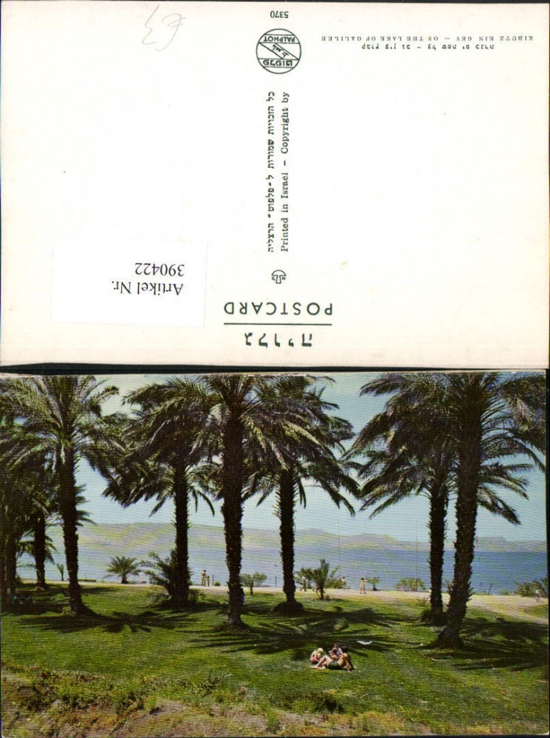 390422,Israel Kibutz Ein Gev En Gev Lake of Galilee See Palmen