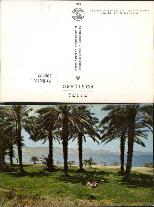 390422,Israel Kibutz Ein Gev En Gev Lake of Galilee See Palmen