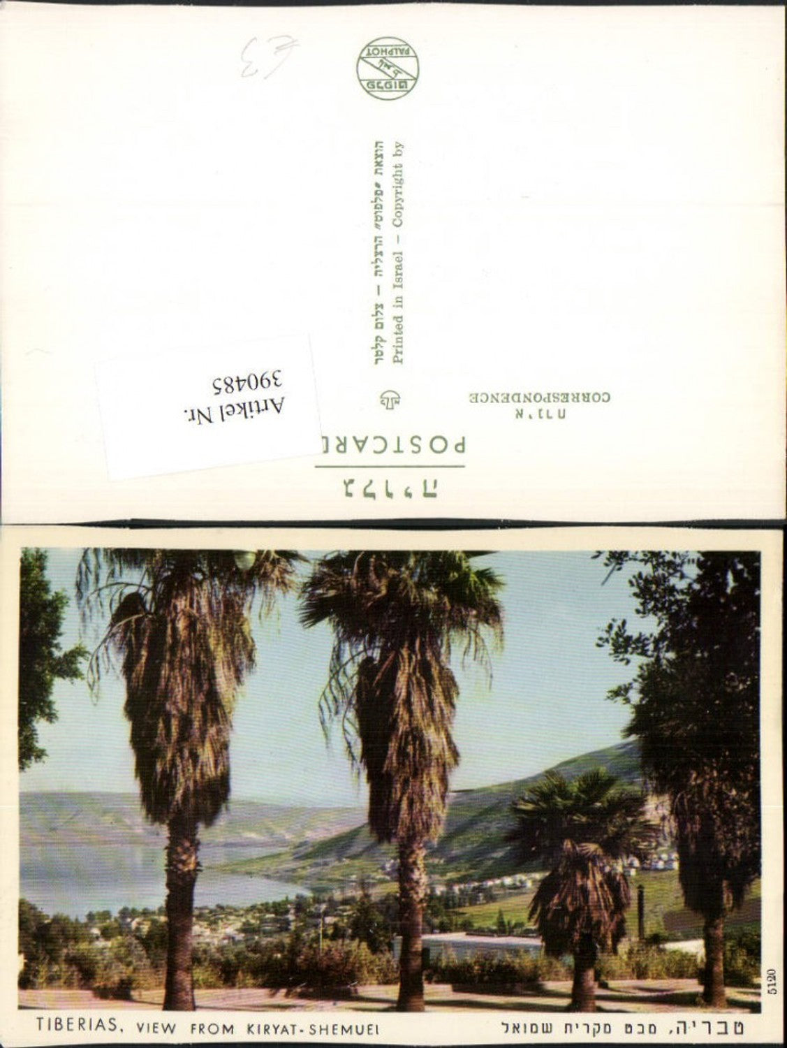 390485,Israel Tiberias View from Kiryat-Shemuei Palmen