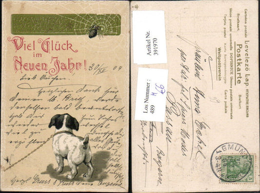 391970,Präge Künstler AK Neujahr Hund an d. Leine Spinne Spinnennetz