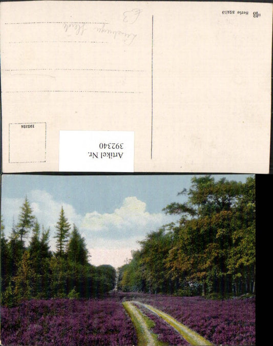 392340,Lüneburger Heide Landschaft Wegpartie